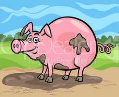 pig farm animal cartoon illustration