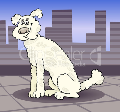 poodle dog in the city cartoon illustration