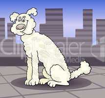 poodle dog in the city cartoon illustration