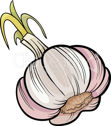 garlic vegetable cartoon illustration