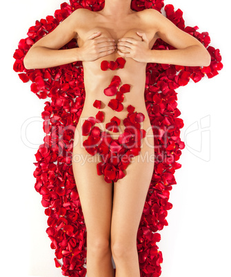 Part of the naked beautiful suntanned female body in petals of s