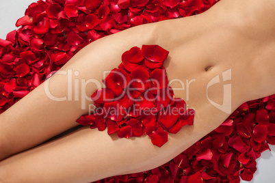 Part of the naked beautiful suntanned female body in petals of s