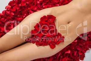 Part of the naked beautiful suntanned female body in petals of s