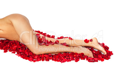 Healthy Woman's Legs and Rose Petals over white.