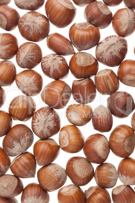 Hazelnuts