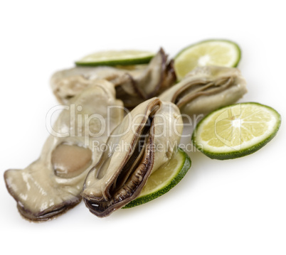 Oysters