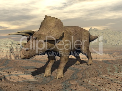 Tricera dinosaur standing - 3D render