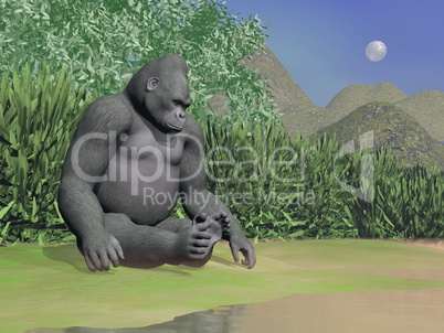 Gorilla thinking next to water - 3D render
