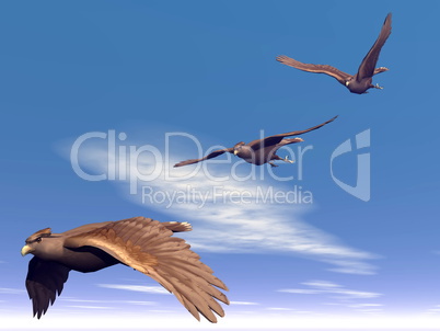 Flying hawks - 3D render