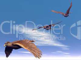Flying hawks - 3D render