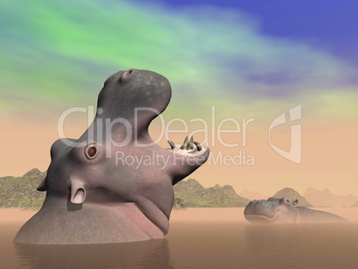 Hippopotamus anger - 3D render