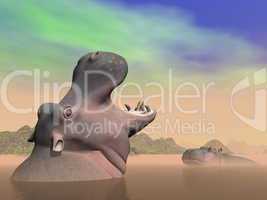 Hippopotamus anger - 3D render