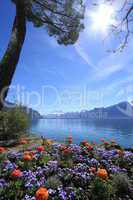 Springtime at Geneva lake, Montreux, Switzerland