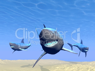 Sharks underwater - 3D render