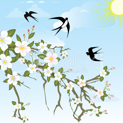 Flower branch with birds.
