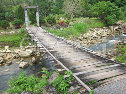 wood bridge to the jungle