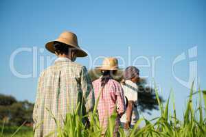 Rear view Group of Traditional Asian farmers