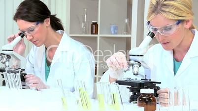 Female Research Assistants in Hospital Laboratory