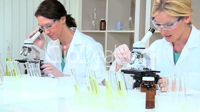 Female Research Assistants in Hospital Laboratory