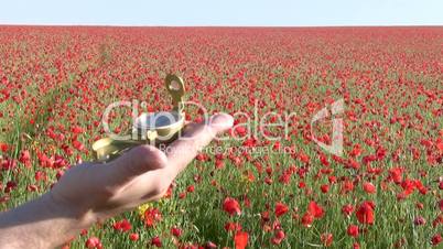 Targeting on a poppy field