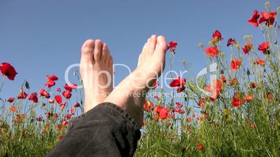 Sky. Poppies. Feet