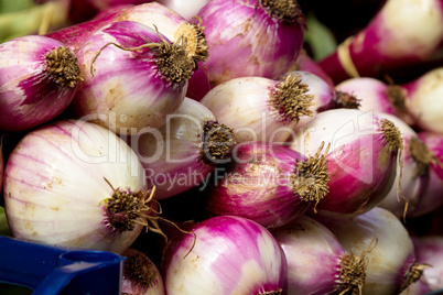 Onions for sale at market