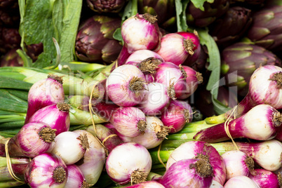 Onions for sale at market