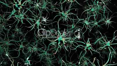 Digital Motion Graphic of Electrical Neuron Cells