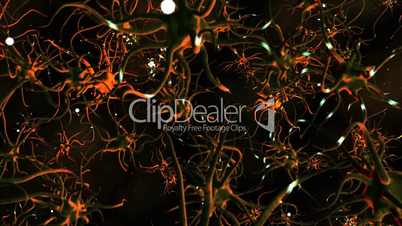 Digital Motion Graphic of Neuron Cells- Warm Colors