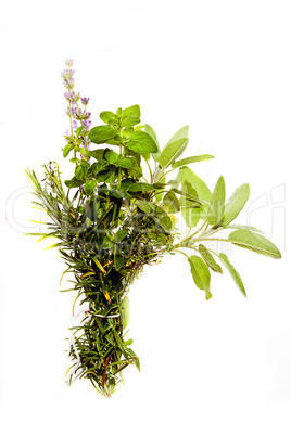 Bunch of herbs on white