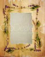 Watercolour lavender frame