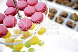 Bunte Macarons