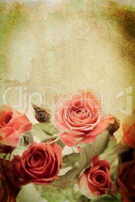 Vintage rose