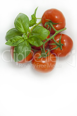 Basil and tomatoes,portrait
