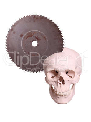 skull with old saw