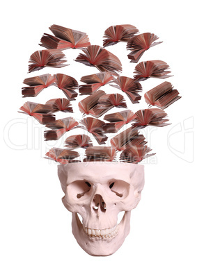 skull with flying books