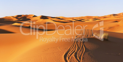 Path on dunes of Sahara desert