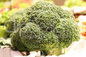 Broccoli in market