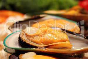 Photo of Mussel