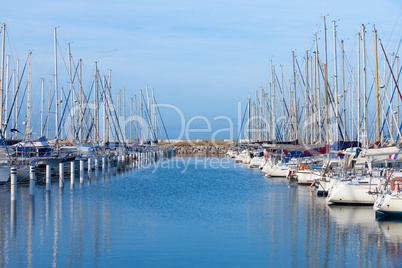 Yachts moored in a marina