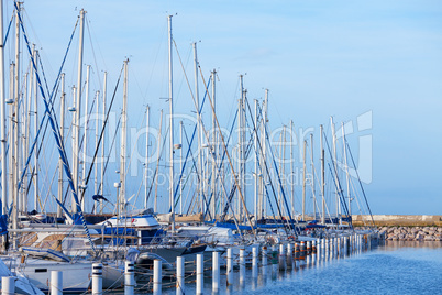 Yachts moored in a marina