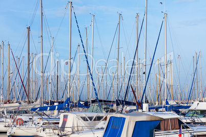 Yachts moored in a marina