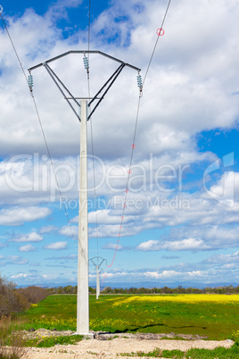 Row of rural electrical power lines