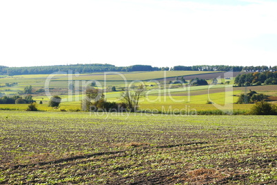 felder im oktober