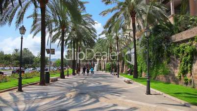 Palma de Mallorca Majorca, Balearic Islands, Spain