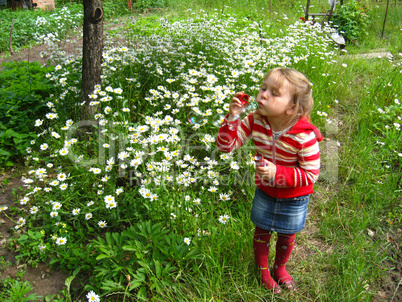 little beautiful girl swelling soap bubbles in the flower-bed of chamomiles