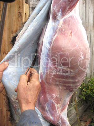 person cuts meat of a goat