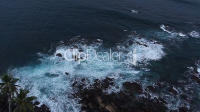 Top view of tree palm and sea.