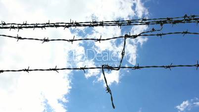 Sky Barbed Wire