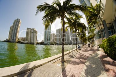 Detail of Chopin Plaza, Miami